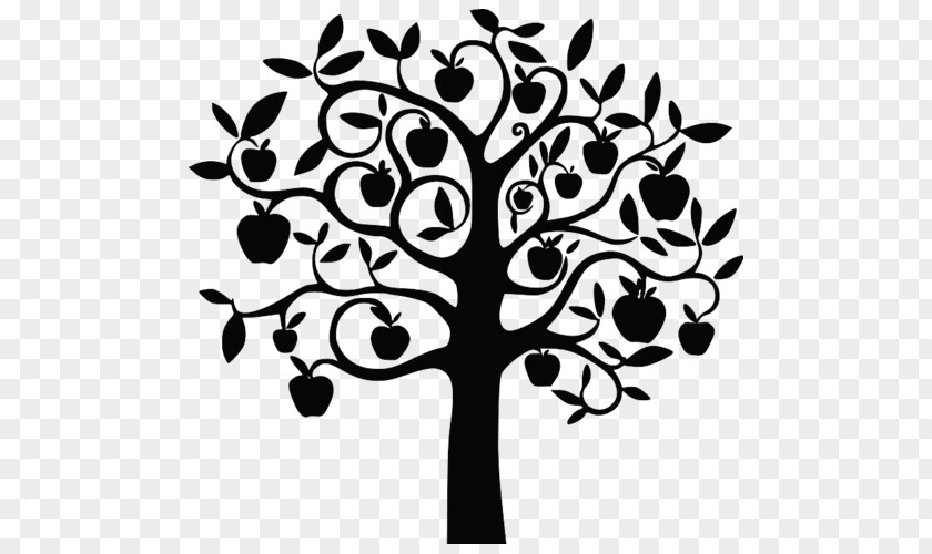 Apple Drawing Fruit Tree PNG