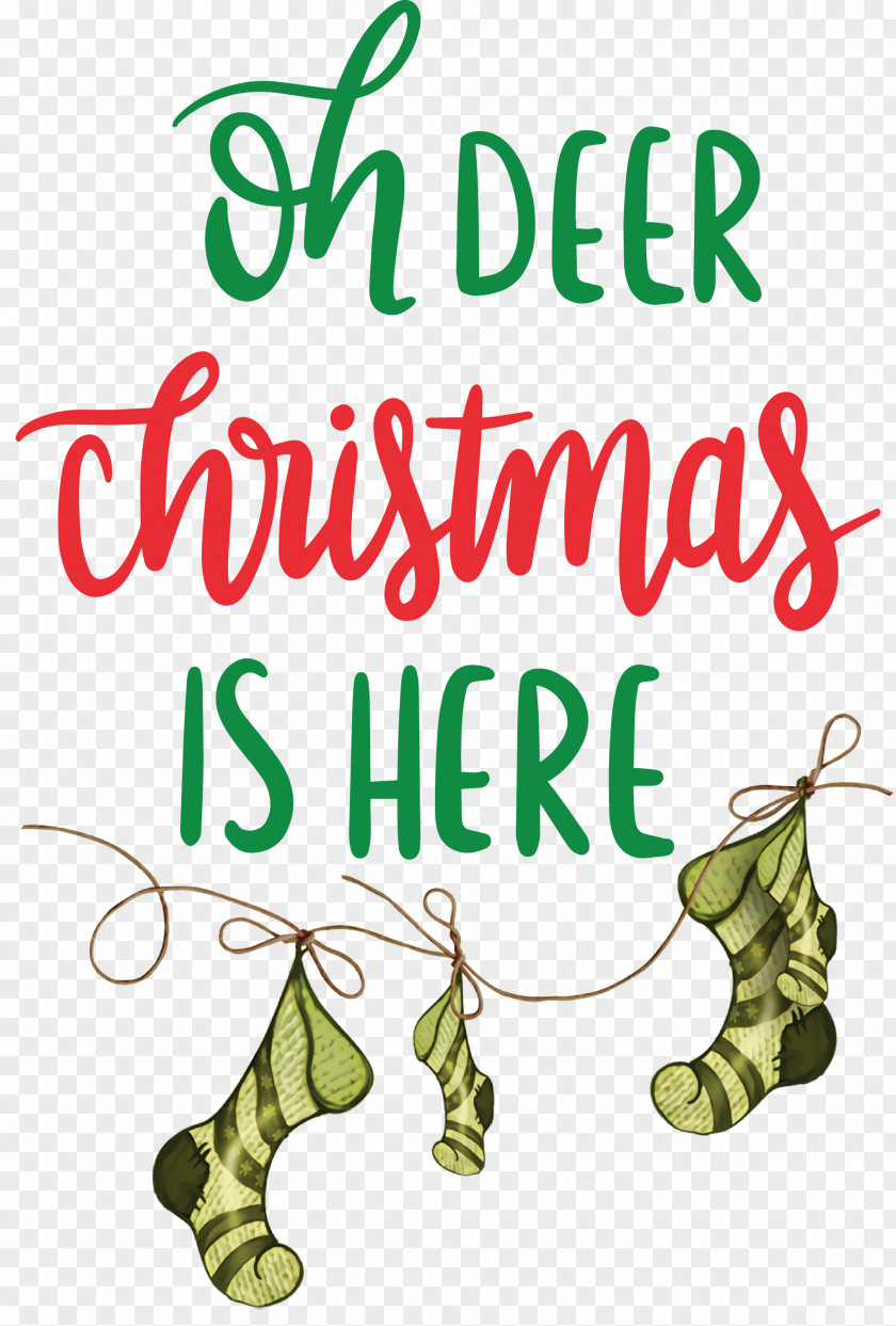 Christmas Deer Winter PNG