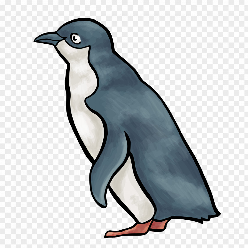 Little Penguin Drawing Clip Art PNG