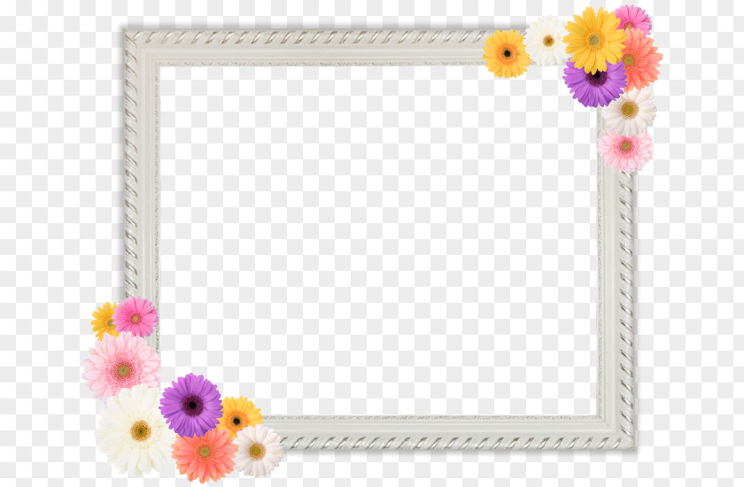 Memorial Cut Flowers Petal Picture Frames Flowering Plant PNG