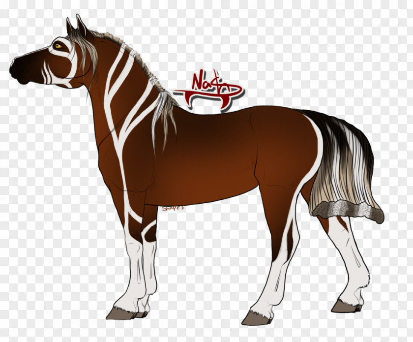 National Treasure Stallion Mustang Mule Pony Mare PNG