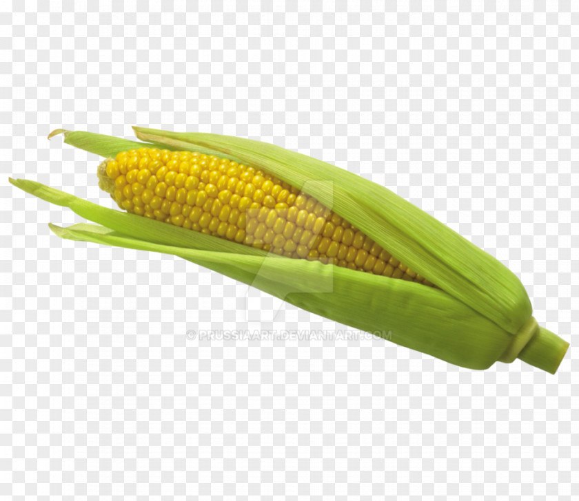 Popcorn Corn On The Cob Flint Sweet Corncob Baby PNG
