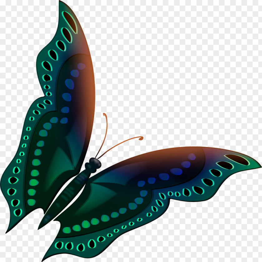 Butterflay Butterfly Facebook Insect Pollinator Color PNG
