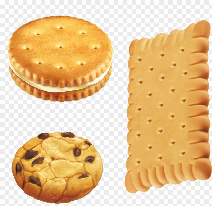 Cookies And Milk Biscuits Chocolate Chip Cookie Biscuit Royalty-free PNG