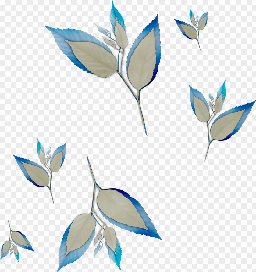 Gentiana Feather Leaf Line PNG