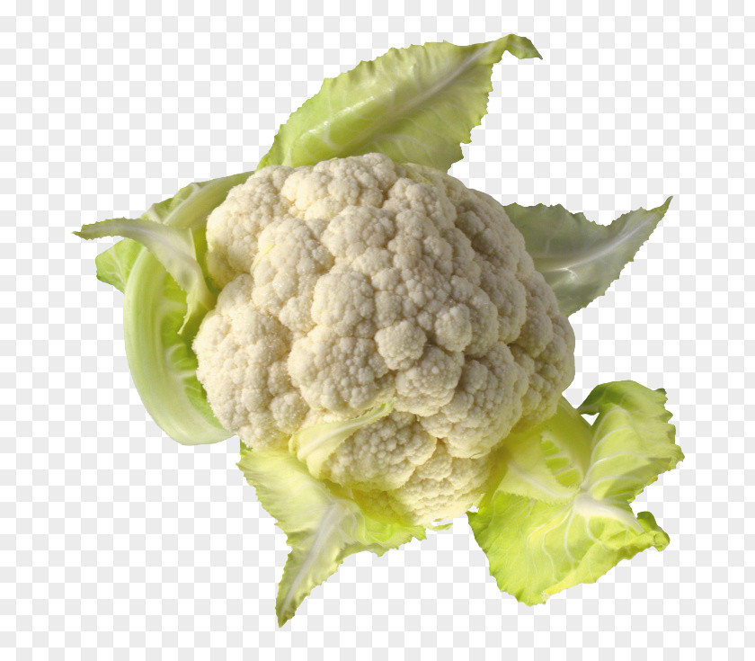 A White Broccoli Cauliflower Cabbage Image File Formats PNG