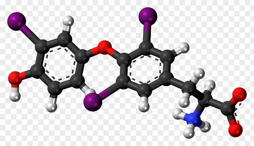 Chemical Compound 3,3'-Diiodothyronine Ethyl Cinnamate Cinnamic Acid Levothyroxine PNG