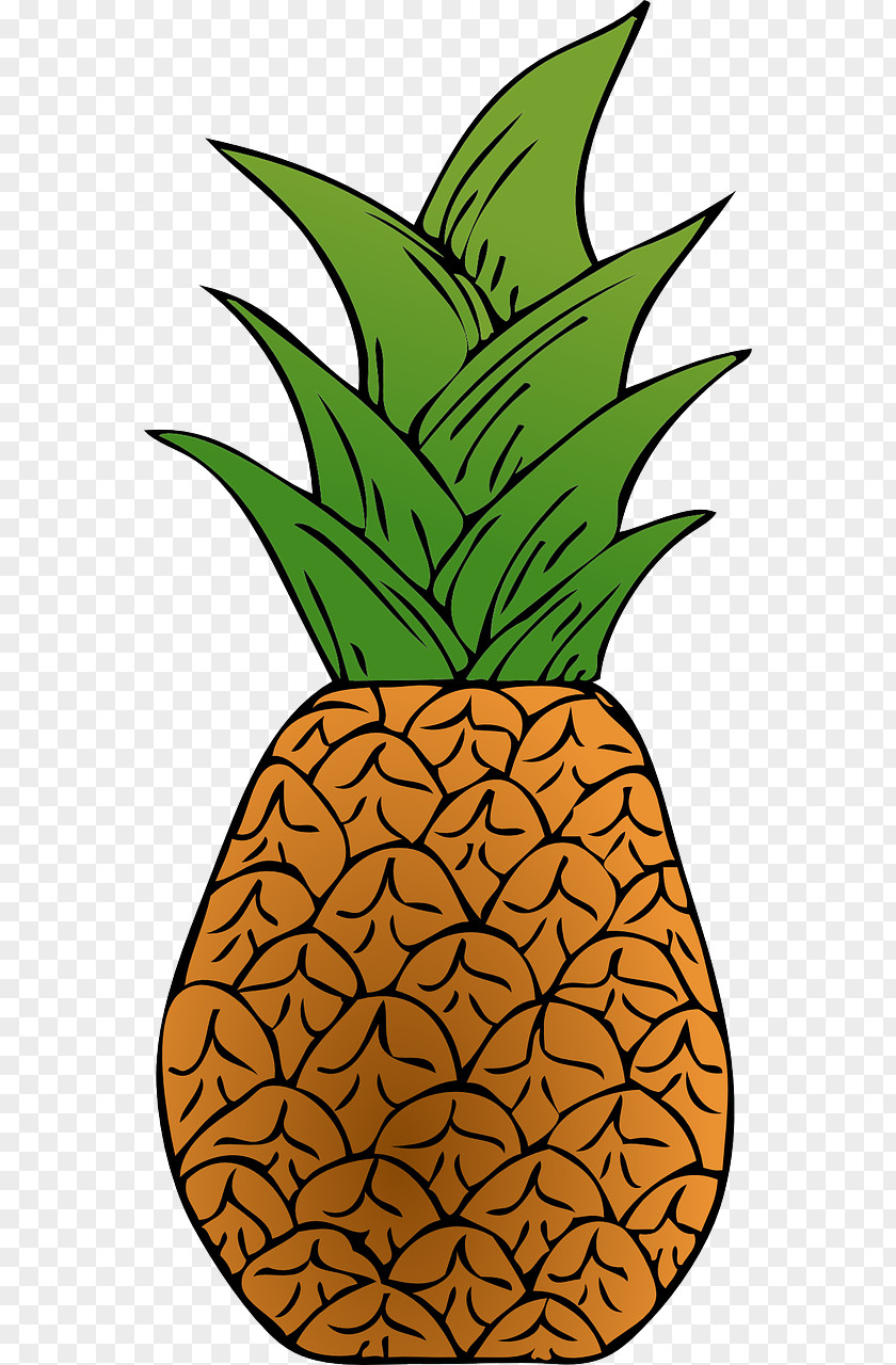 Delicious Pineapple T-shirt Fruit Salad PPAP PNG