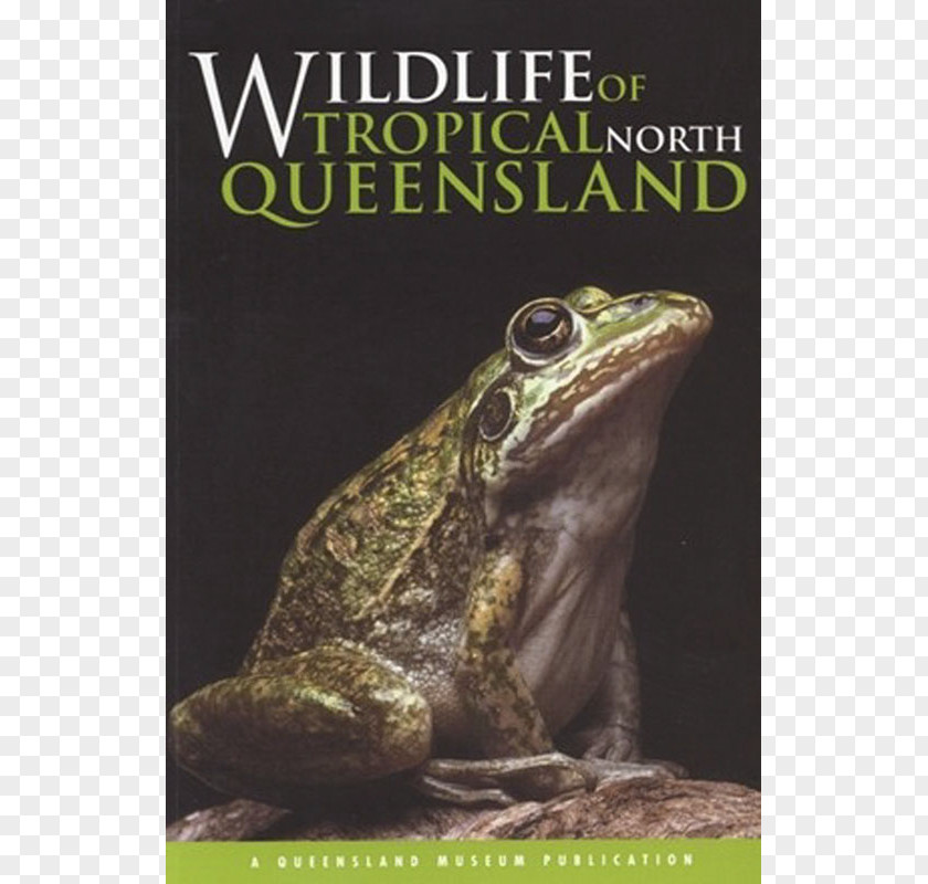 Far North Queensland Wildlife Of Tropical Queensland: Cooktown To Mackay Museum PNG