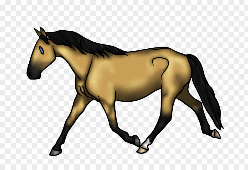 Foxtail Foal Stallion Mustang Mare Colt PNG