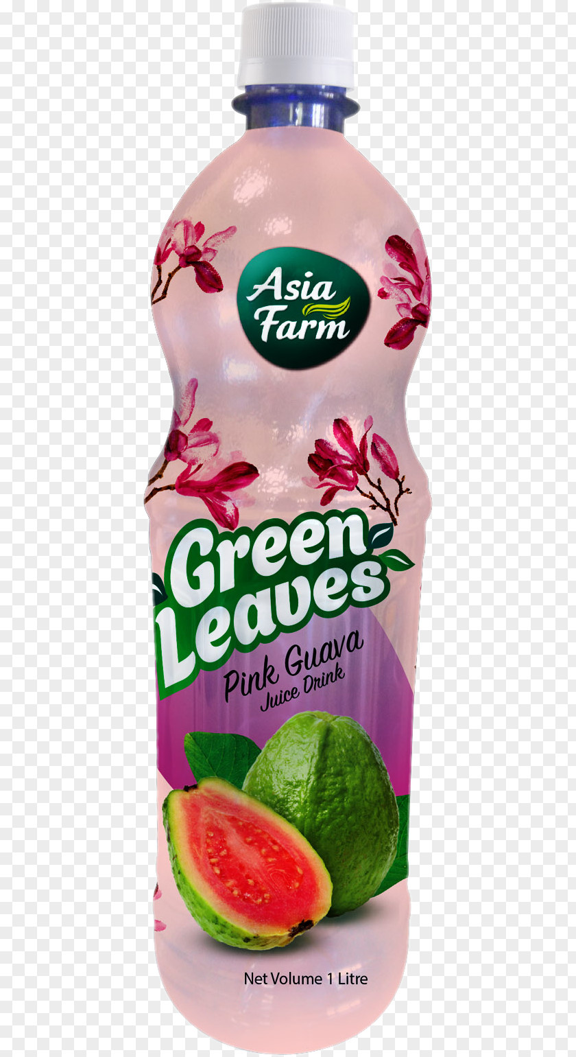 Guava Juice Orange Squash Drink Punch PNG