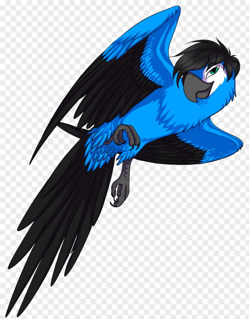 Youtube Macaw Blu YouTube Jewel Bia PNG