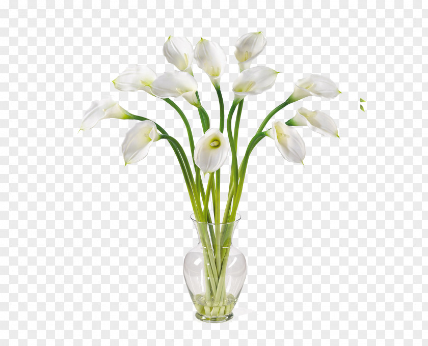 Calla Image Arum-lily Artificial Flower Lilium Callalily PNG