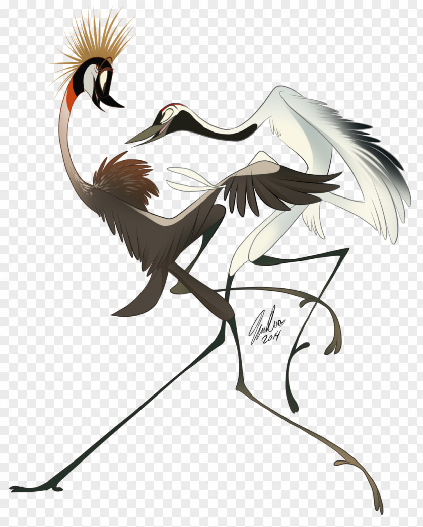 Crane Bird Art Dance Dinosaur PNG