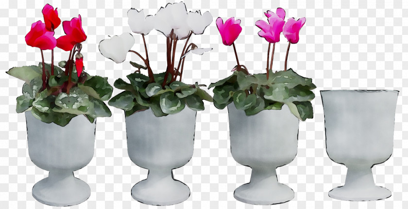 Cyclamen Vase Floral Design Cut Flowers PNG