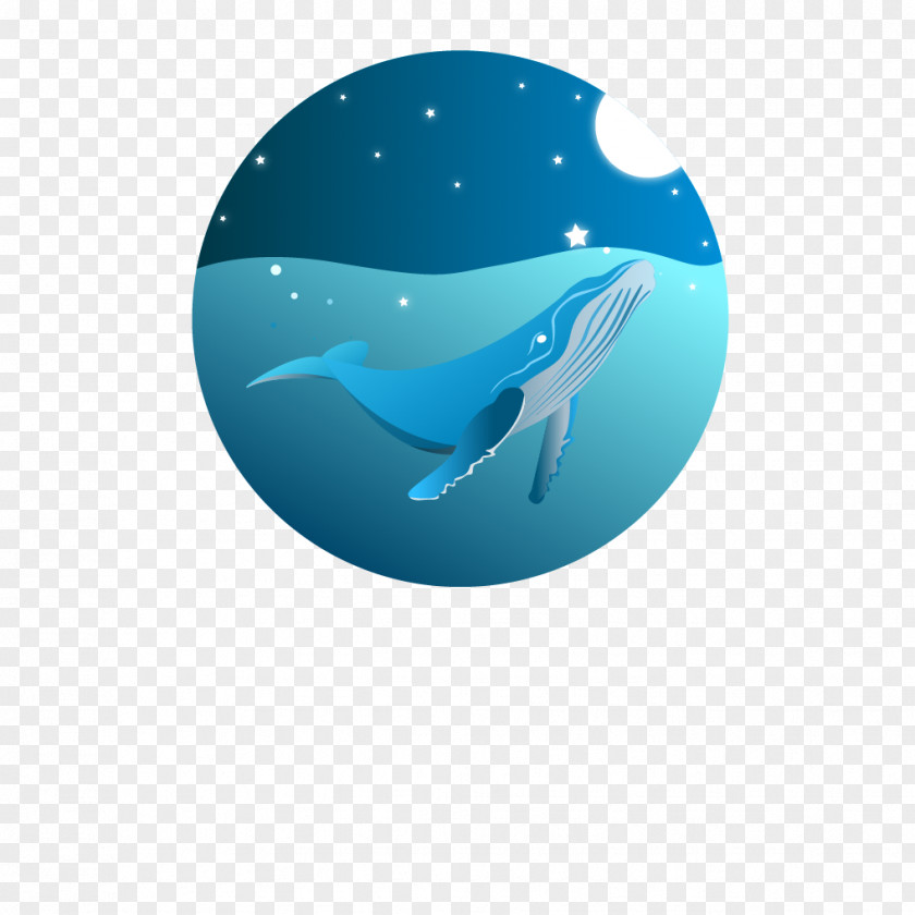 Dolphin Water Desktop Wallpaper PNG