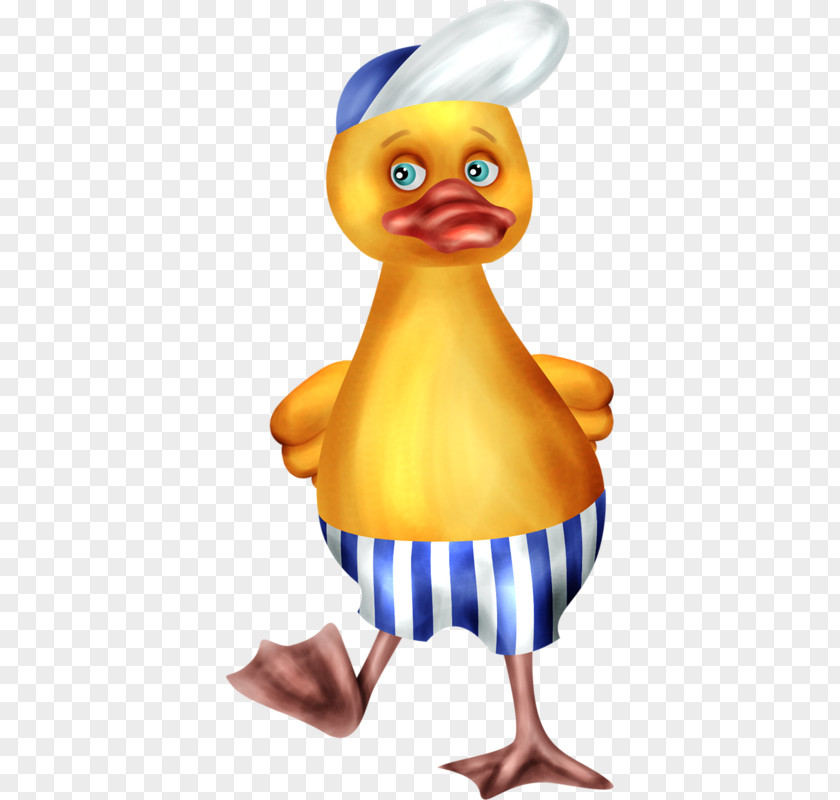 Duck Bird Cygnini Goose PNG