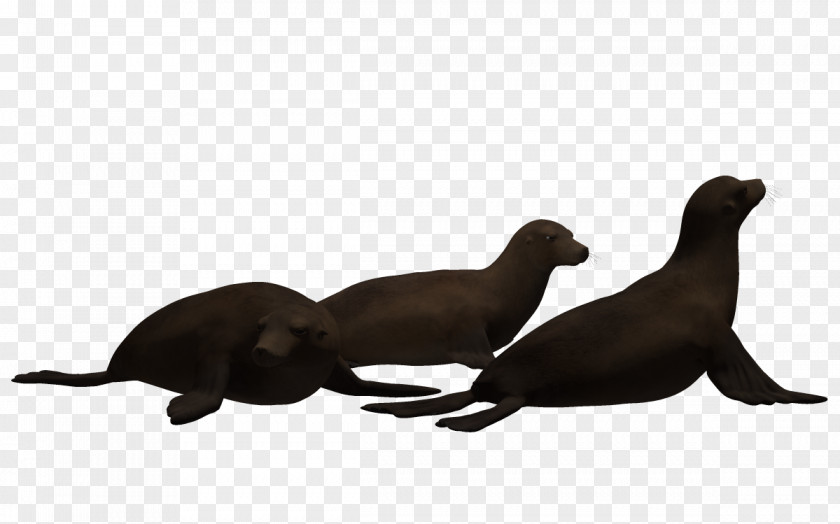 Fish Underwater World Sea Lion Three-dimensional Space Animation PNG