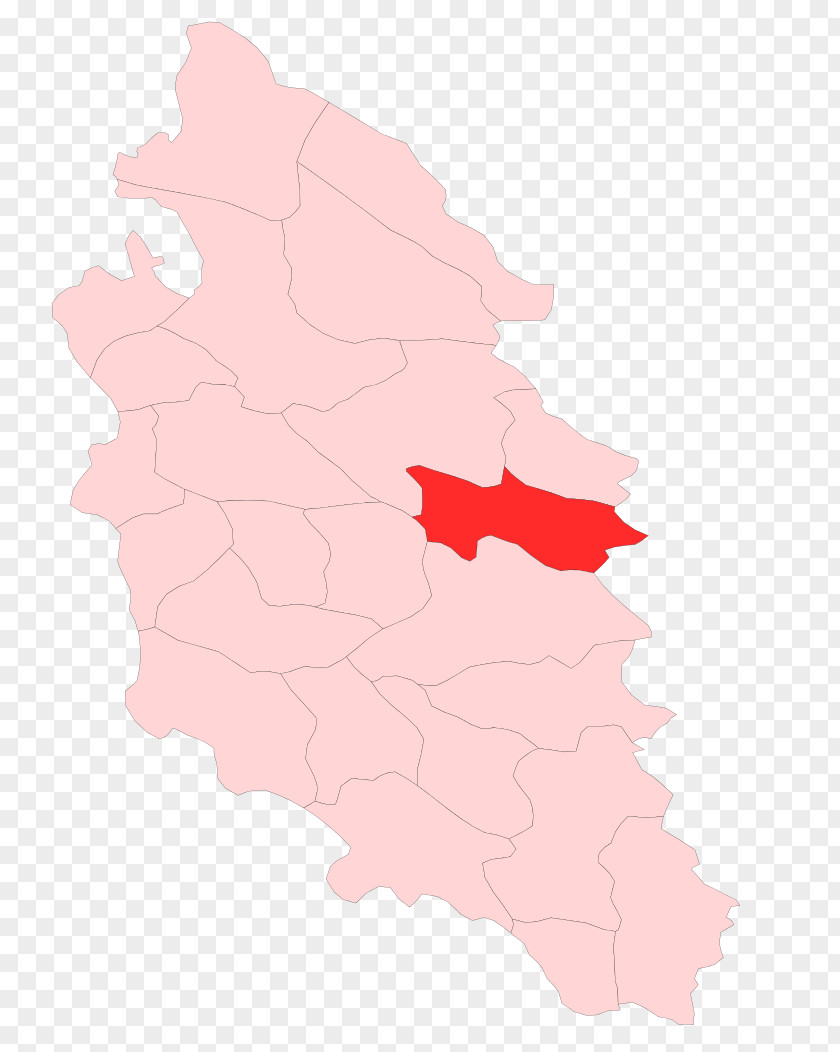 Map Pink M Tuberculosis RTV PNG