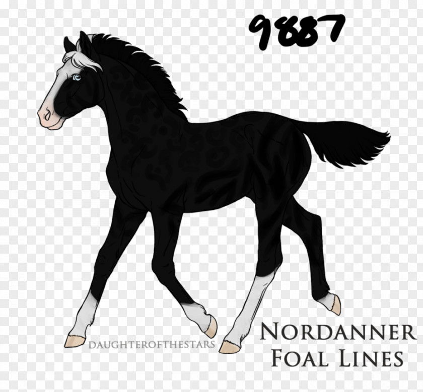 Mustang Pony Foal Stallion Puppy PNG