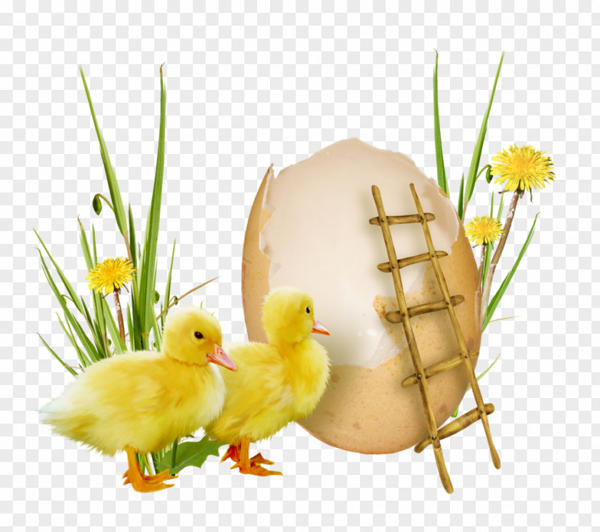 PASQUA Easter Holiday Christmas Wish Theatrical Scenery PNG