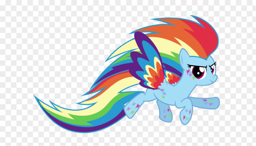 Rainbow Dash Rarity Twilight Sparkle Applejack Pinkie Pie PNG