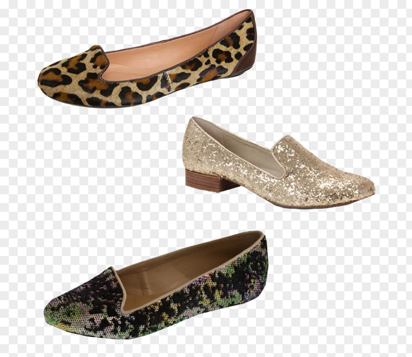 Slipper Ballet Flat Shoe Fashion Clothing PNG