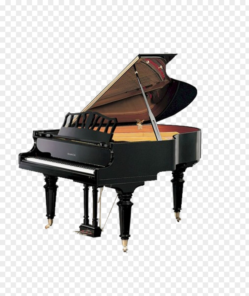 Piano Grand Wilhelm Schimmel Petrof C. Bechstein PNG