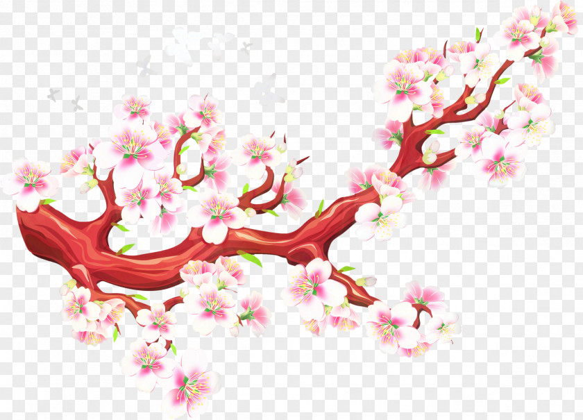 Plant Branch Cherry Blossom Flower PNG