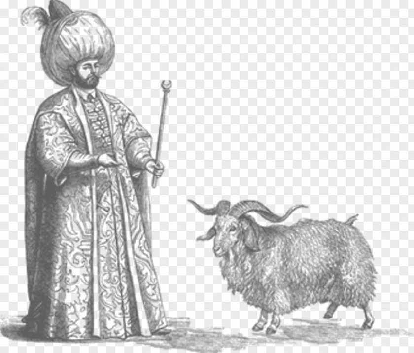 Sheep Angora Goat Ahuntz Mohair Textile PNG