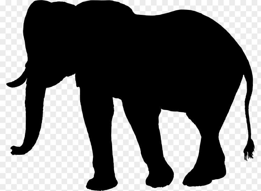 Silhouettes African Elephant Silhouette Clip Art PNG