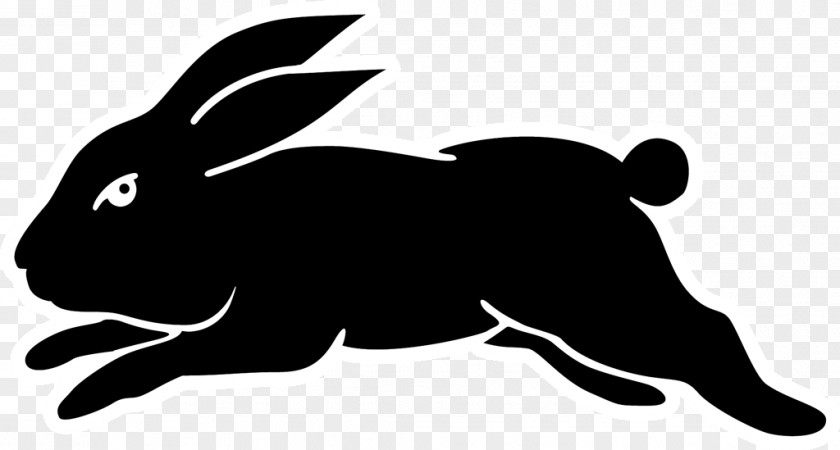 South Sydney Rabbitohs Domestic Rabbit National Rugby League North Queensland Cowboys PNG