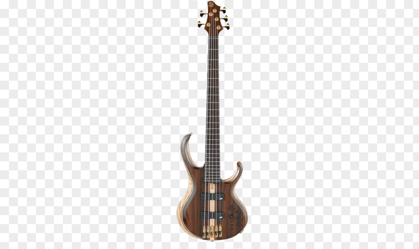 Bass Guitar Ibanez Double String Instruments PNG