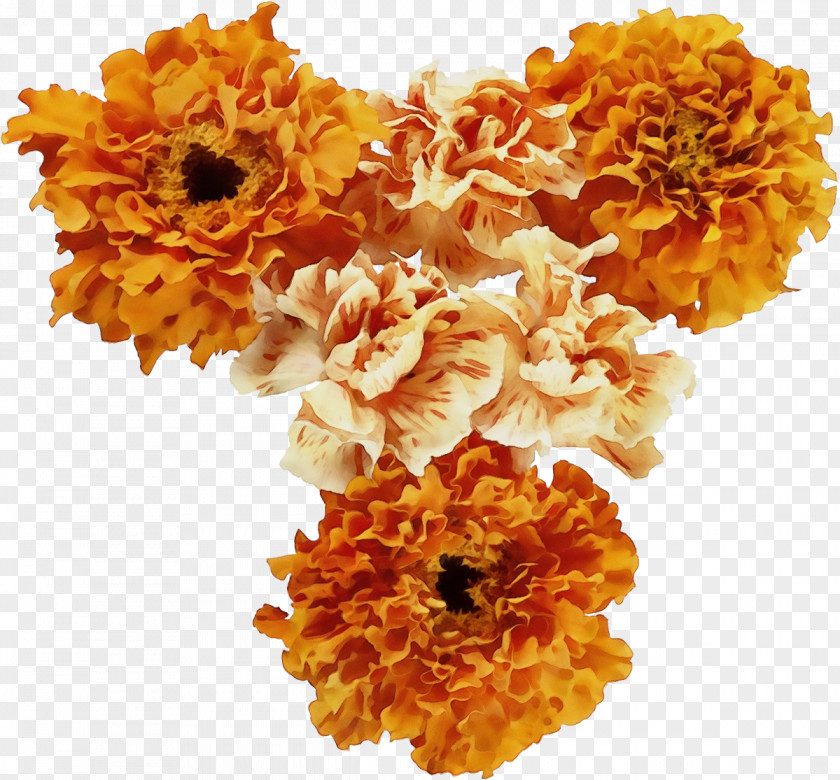 Tagetes Patula Pollen Orange PNG