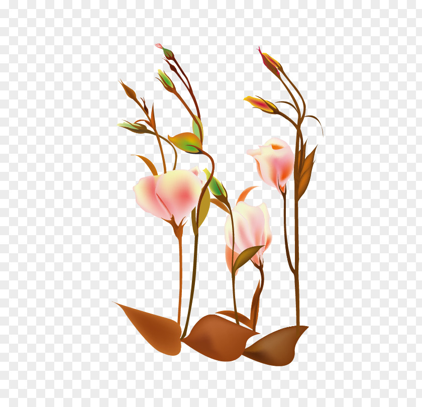 Vector Floral Flowers Design Flower Cartoon Clip Art PNG