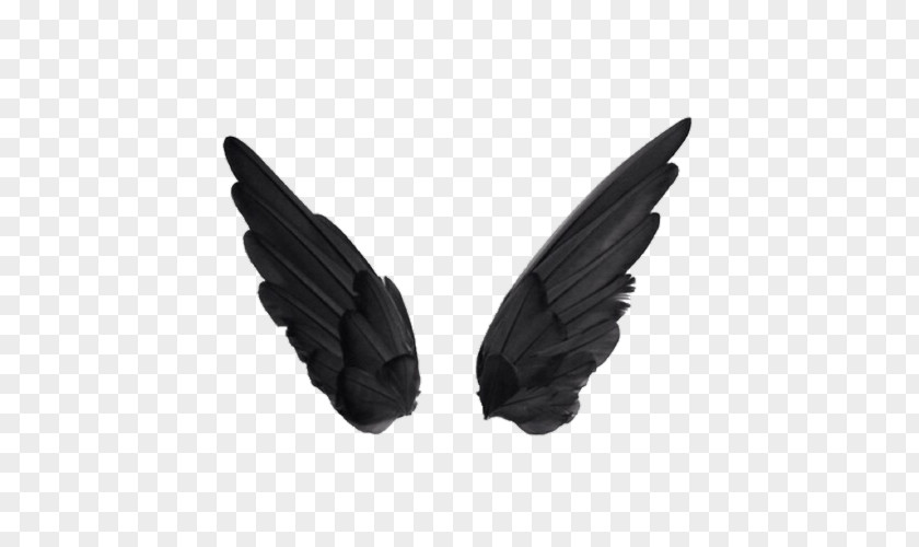 Black Wings Buffalo Wing Pixel PNG