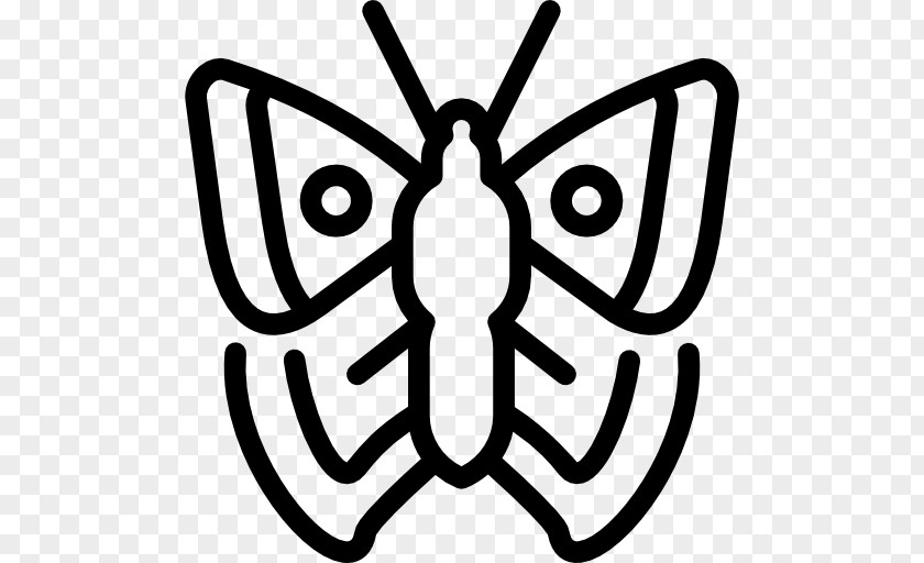 Butterfly Insect Moth PNG
