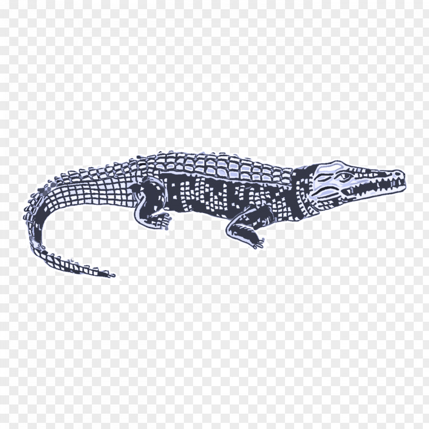 Crocodiles Jewellery Alligators Silver PNG