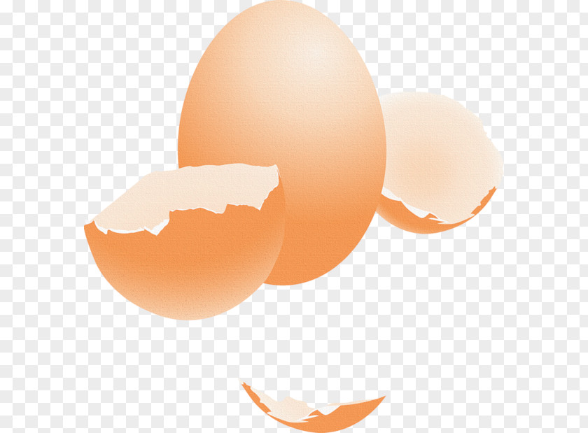 Egg Eggshell Chicken Image PNG