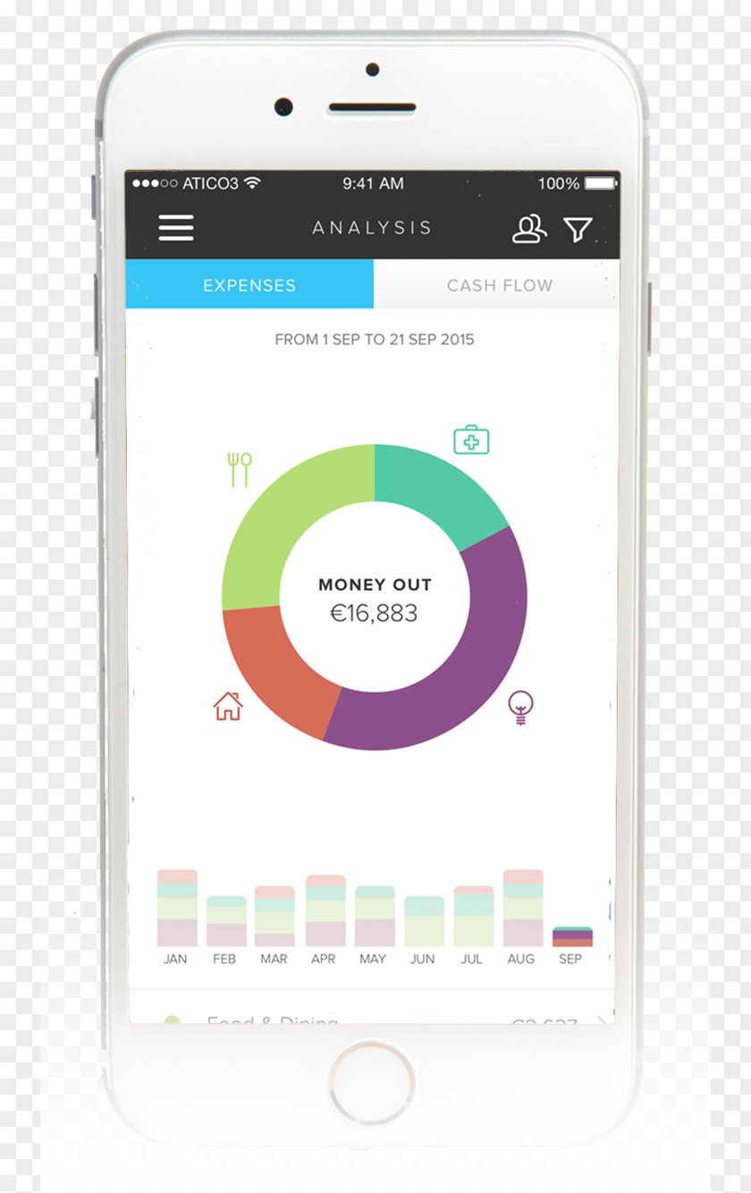 Financial Analysis Personal Management Strands Finance Expense PNG