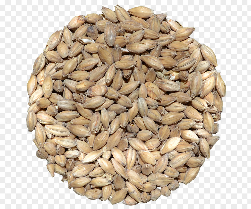 Grain Store Oat Vegetarian Cuisine Sprouted Wheat Whole Spelt PNG