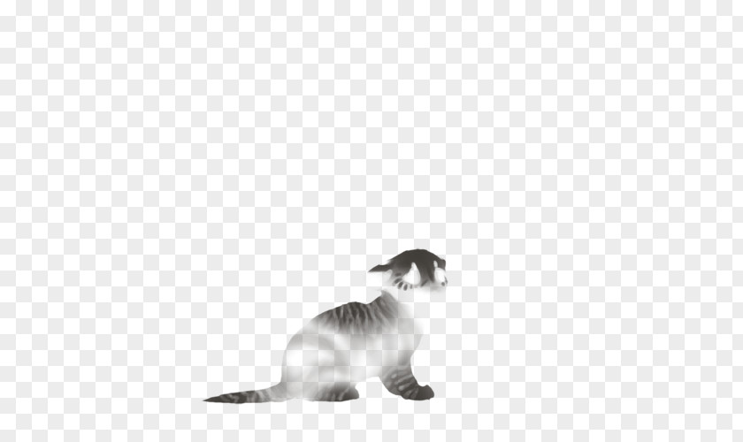 Kitten Whiskers Dog Paw Canidae PNG