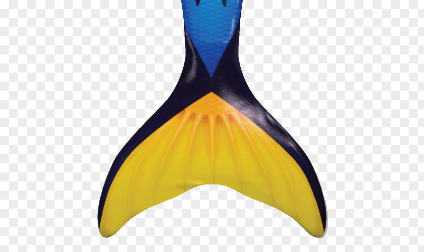 Mermaid Tail Palette Surgeonfish Fin Fun Monofin PNG