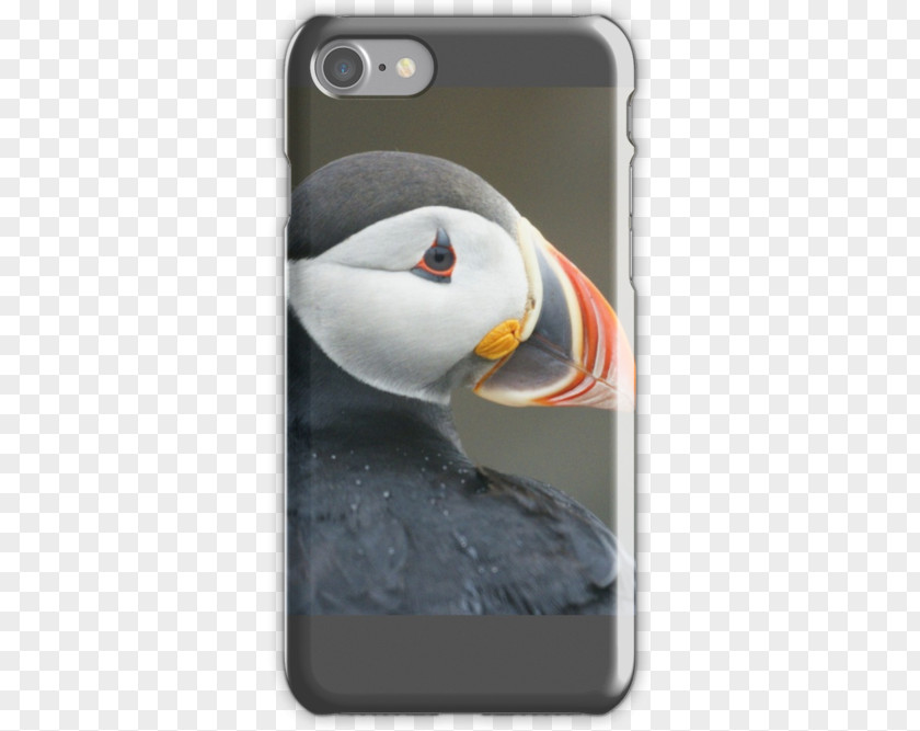 Puffin IPhone 4S 7 5s X PNG