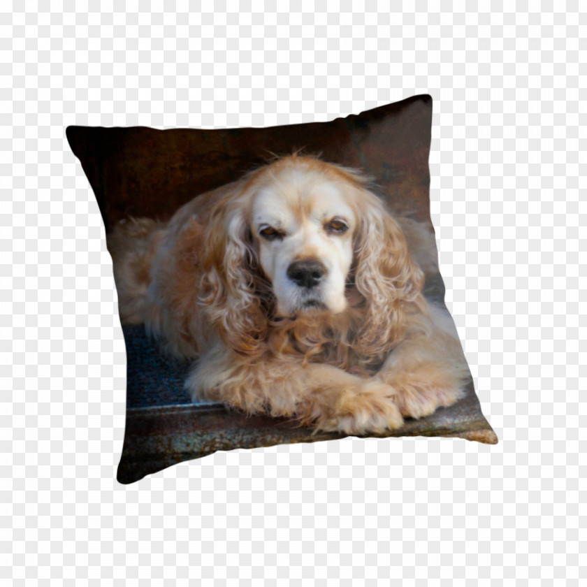 Puppy English Cocker Spaniel Dog Breed Sporting Group Companion PNG