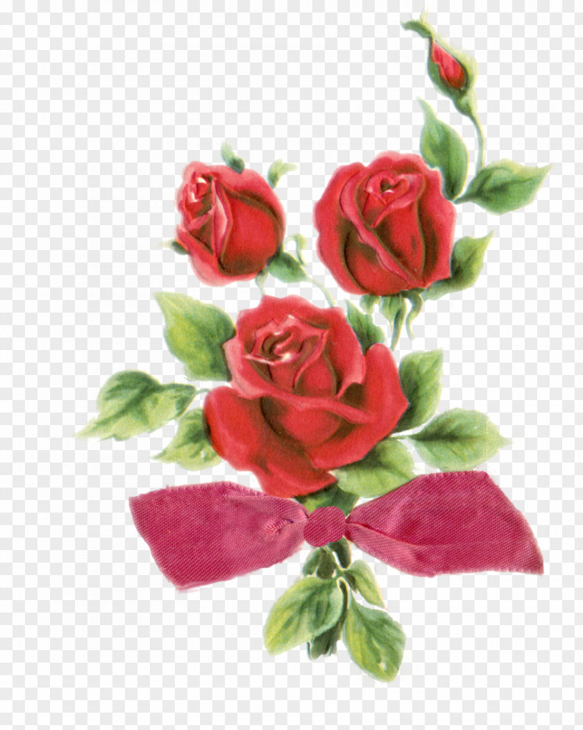 Rose Flower Clip Art PNG