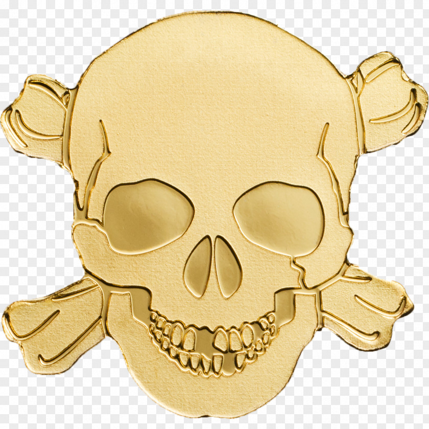 Skull Silver Gold Palau Coin PNG