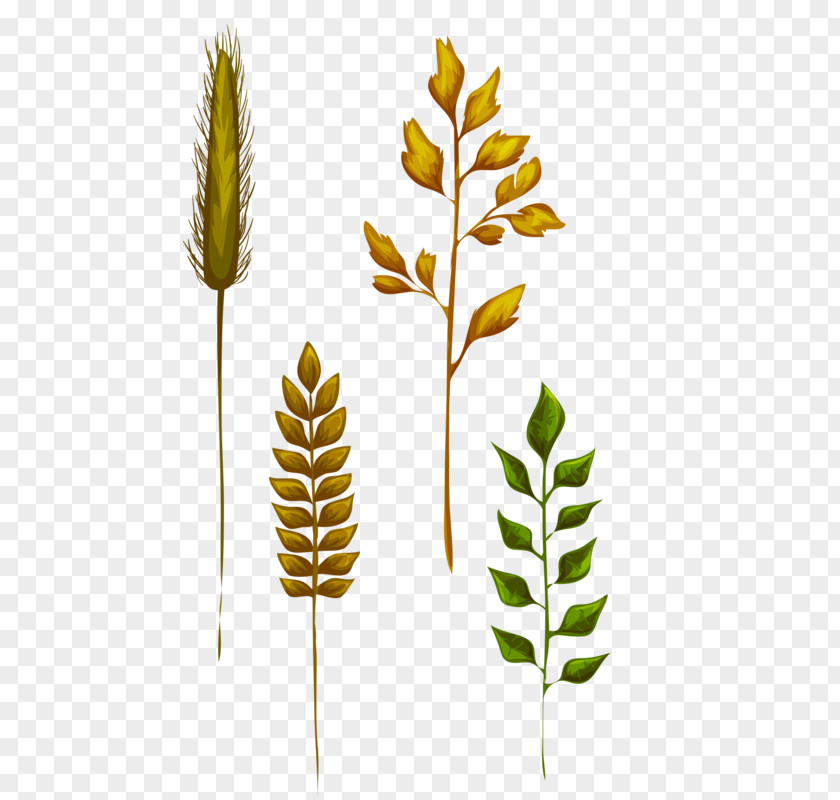 Yellow Leaves And Wheat Leaf Grasses PNG
