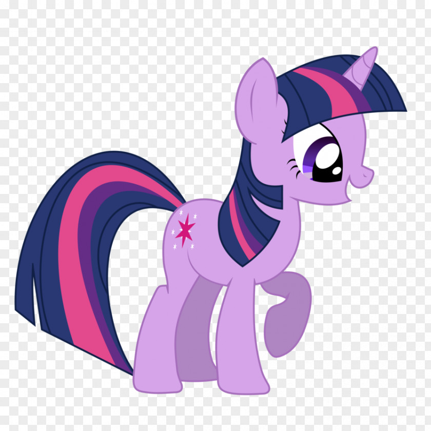 Twilight Sparkle Rarity Princess Cadance Pony Rainbow Dash PNG