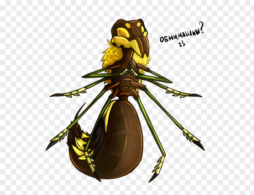 Bee Insect Pest PNG